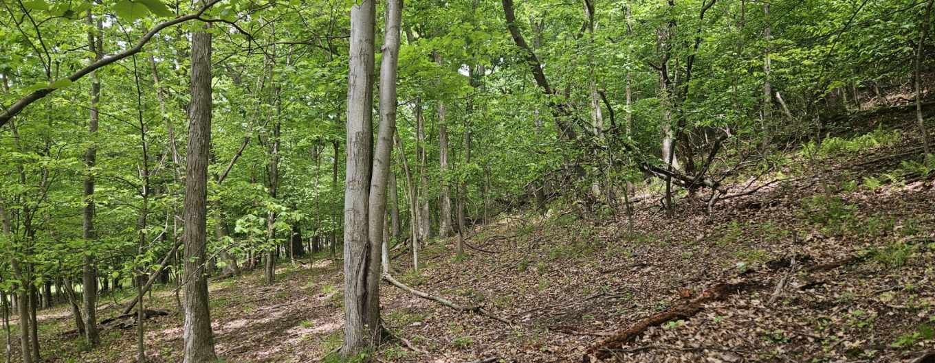 0000 Reservoir Road Bell Township PA 15681