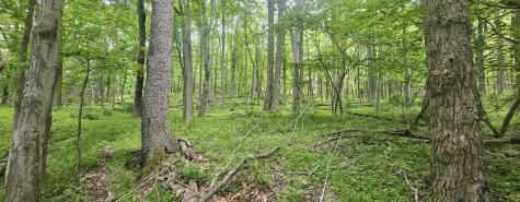 0000 Reservoir Road Bell Township PA 15681