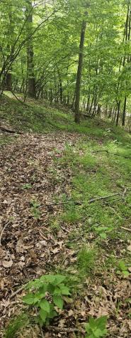 0000 Reservoir Road Bell Township PA 15681