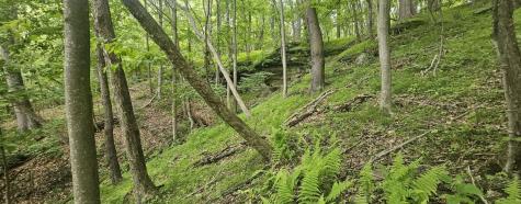 0000 Reservoir Road Bell Township PA 15681