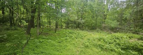 0000 Reservoir Road Bell Township PA 15681