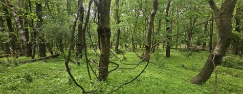 0000 Reservoir Road Bell Township PA 15681