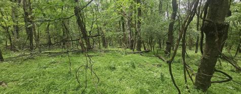 0000 Reservoir Road Bell Township PA 15681