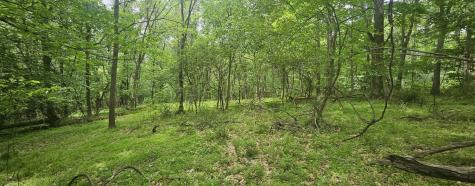 0000 Reservoir Road Bell Township PA 15681