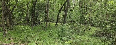 0000 Reservoir Road Bell Township PA 15681