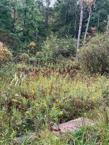 221 Saint John Road Clay Township PA 16057