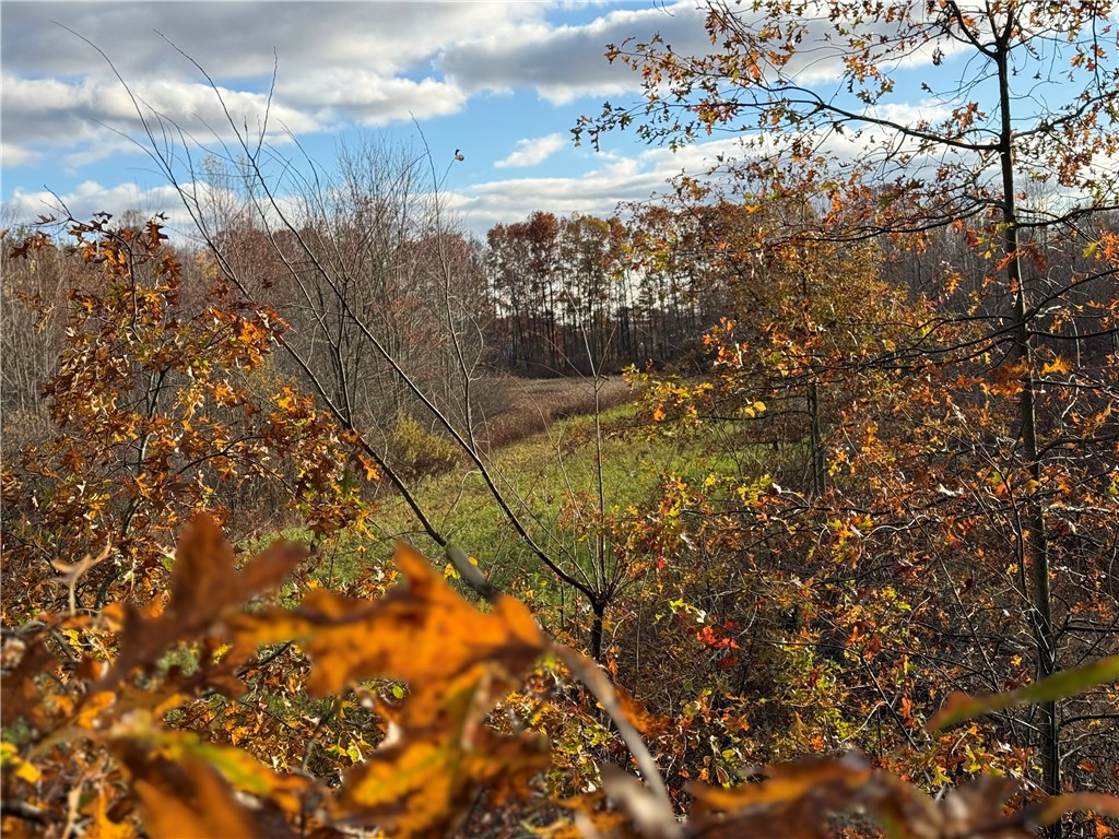 000 Borowicz Wilmington Township PA 16142