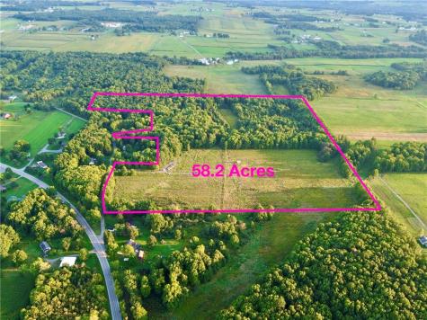 000 Borowicz Wilmington Township PA 16142