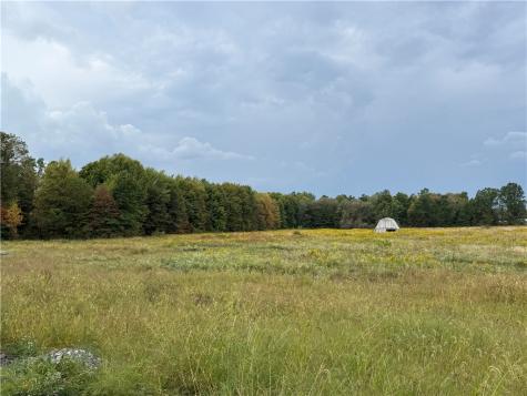 000 Borowicz Wilmington Township PA 16142