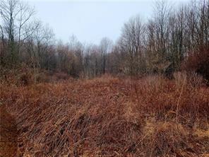 Lot 1 Route19/perry Highway Muddy Creek Township PA 16051