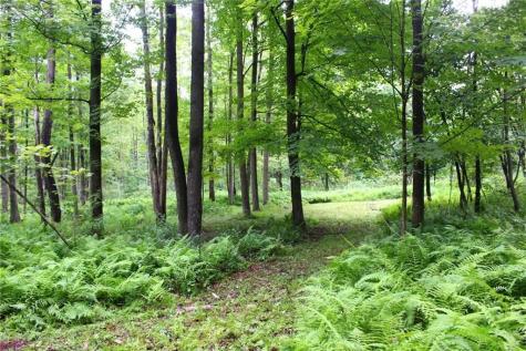 0 Sr 258 Liberty Township PA 16127