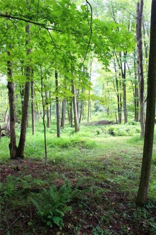 0 Sr 258 Liberty Township PA 16127