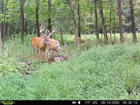 0 Sr 258 Liberty Township PA 16127