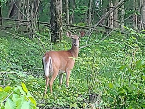 208-209 Lots Ottawa Road Shenango PA 16134