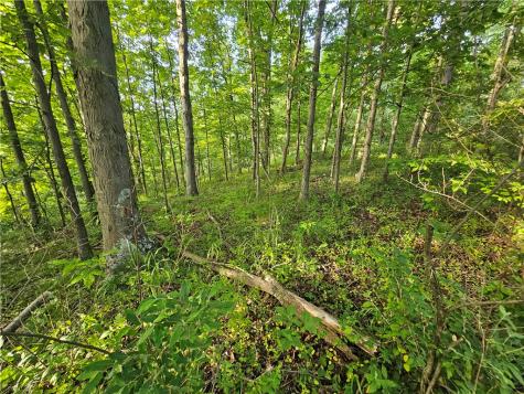0 Fallen Timber Road Independence PA 15312