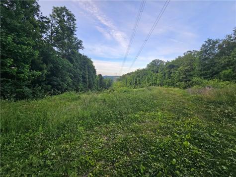 0 Fallen Timber Road Independence PA 15312