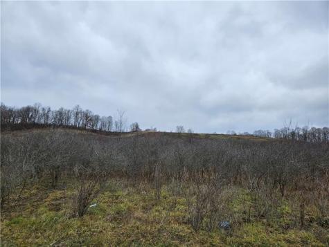 0 State Route 168 South Beaver Township PA 16115