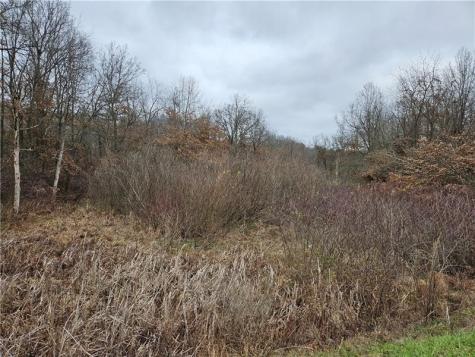 0 State Route 168 South Beaver Township PA 16115