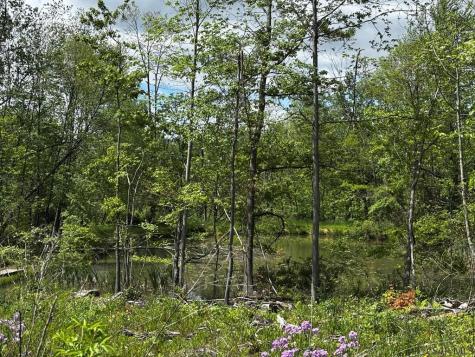 0 Ridge Road Shade Township PA 15936