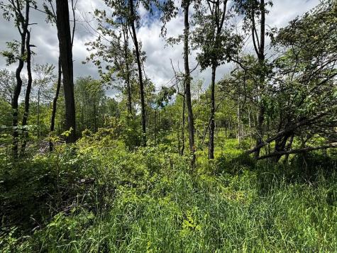 0 Ridge Road Shade Township PA 15936