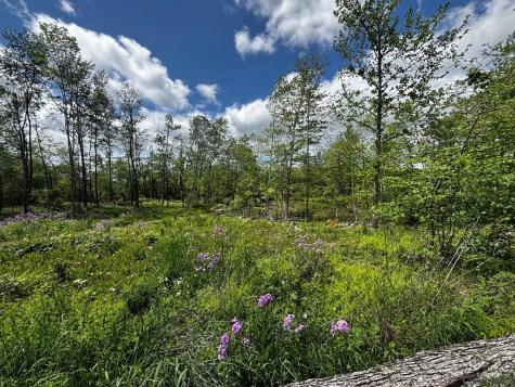 0 Ridge Road Shade Township PA 15936