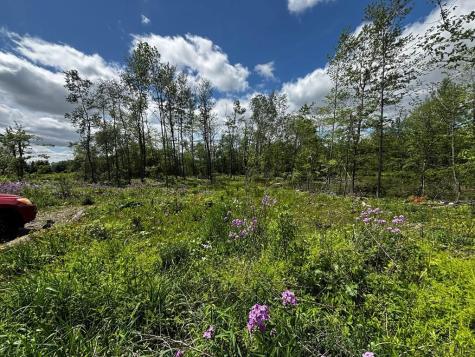 0 Ridge Road Shade Township PA 15936