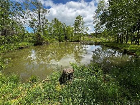 0 Ridge Road Shade Township PA 15936