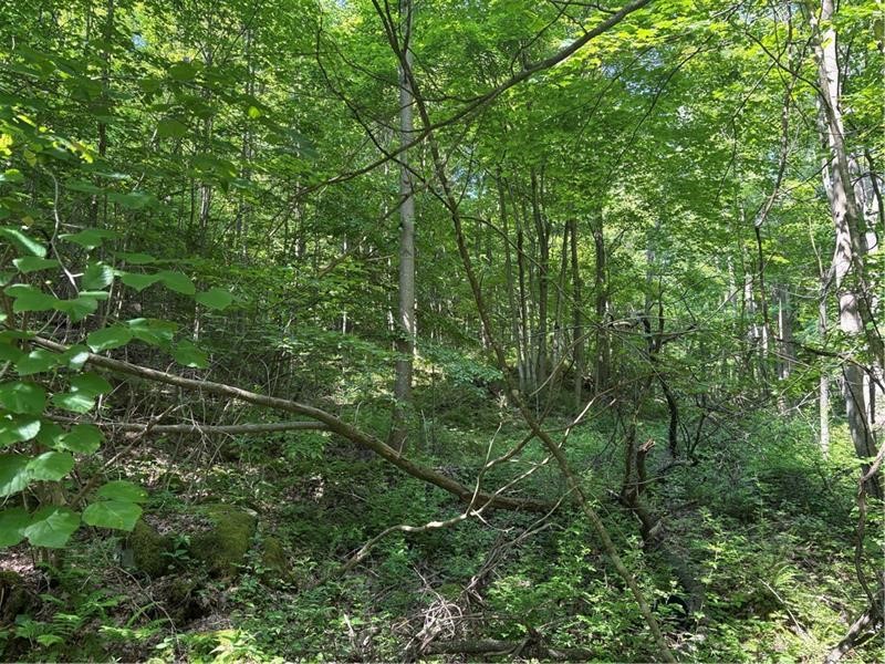 000 Fowl Hill Road Saltlick Township PA 15462