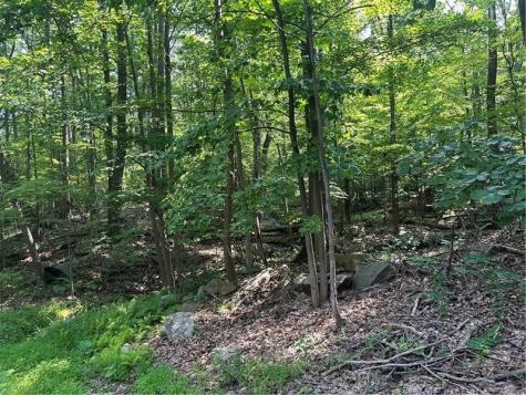 Lot 934 Ski Slope Road Bullskin Township PA 15610