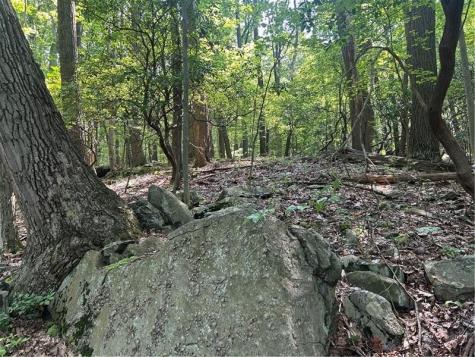 Lot 934 Ski Slope Road Bullskin Township PA 15610