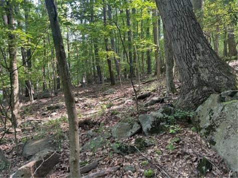 Lot 934 Ski Slope Road Bullskin Township PA 15610
