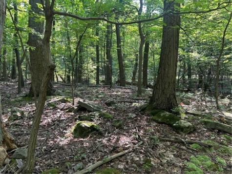 Lot 934 Ski Slope Road Bullskin Township PA 15610