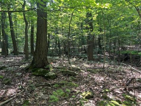 Lot 934 Ski Slope Road Bullskin Township PA 15610