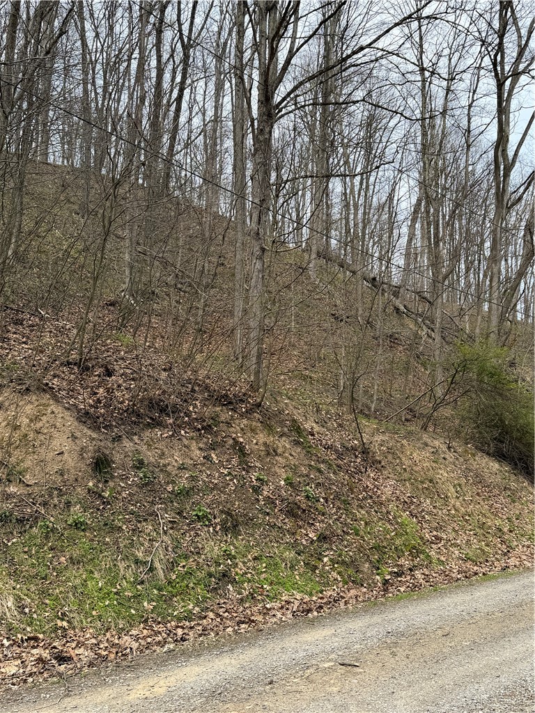 0 Coal Bank Hollow Road Bethel Township PA 16226