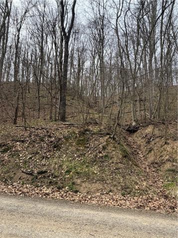 0 Coal Bank Hollow Road Bethel Township PA 16226