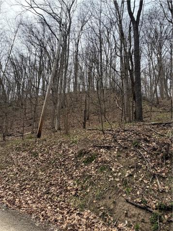 0 Coal Bank Hollow Road Bethel Township PA 16226