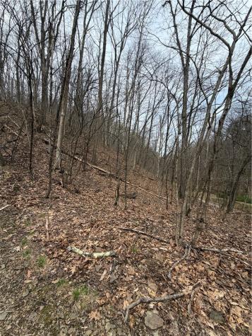 0 Coal Bank Hollow Road Bethel Township PA 16226