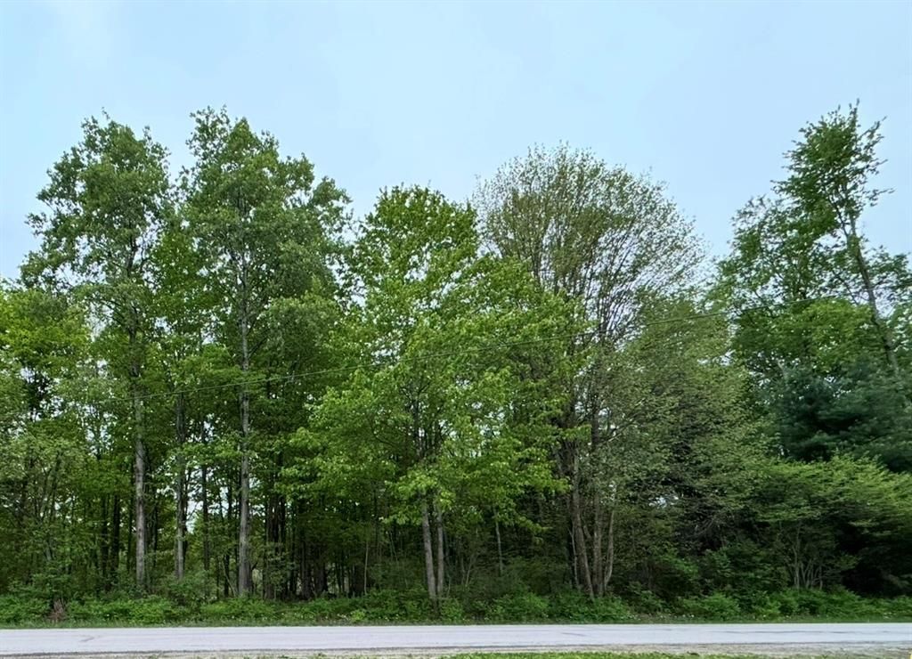 Lot 9-15 & 62-72 Elmwood Avenue Canadohta Lake PA 16438