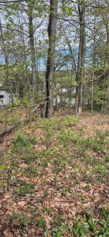 91 Lambert Street Shade Township PA 15926
