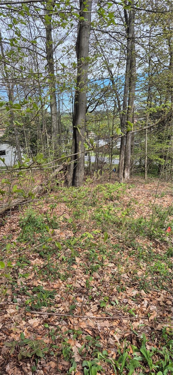 91 Lambert Street Shade Township PA 15926