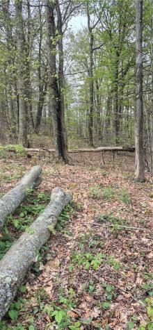 91 Lambert Street Shade Township PA 15926