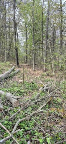 91 Lambert Street Shade Township PA 15926
