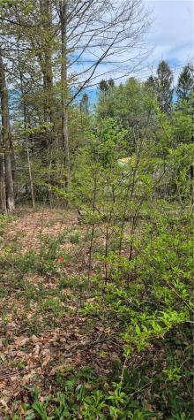 91 Lambert Street Shade Township PA 15926