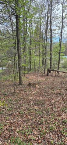 91 Lambert Street Shade Township PA 15926