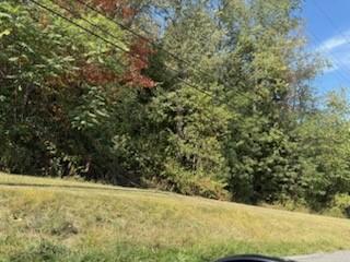 1924 Sohn Road Hopewell Township PA 15001
