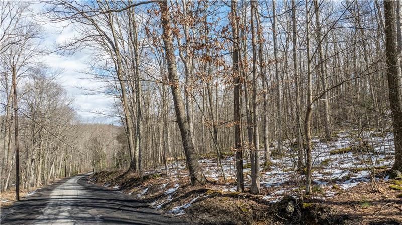 702 Shepherd Road Wharton Township PA 15437