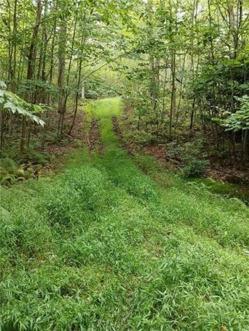 702 Shepherd Road Wharton Township PA 15437