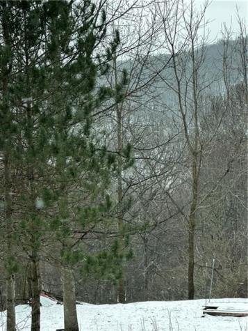 702 Shepherd Road Wharton Township PA 15437