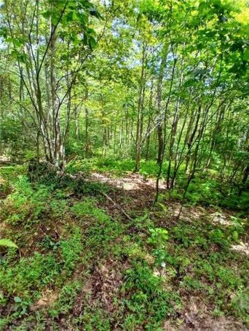 702 Shepherd Road Wharton Township PA 15437