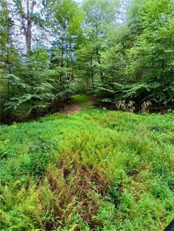 702 Shepherd Road Wharton Township PA 15437